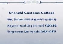 上海海关学院录取分数线