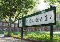 高考失利后，还有哪些国内外优质学校可以选择就读？