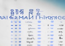 上海各大学录取分是多少？2026上海高校录取分数线排名