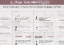 香港大学如何录取各省状元？招生政策解析