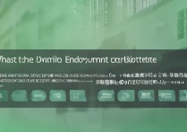 延边大学录取专业代码是什么？延边大学专业代码查询入口