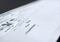 wps增强版