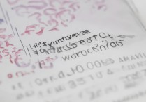 西南大学在宁夏录取分数是多少？西南大学宁夏录取分数线