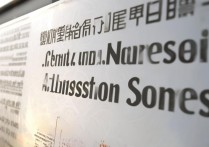 深训大学录取分数为何如此之高？揭秘高分背后的原因！