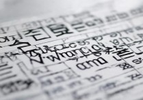 2017洮南十中录取分数线是多少，录取分数线查询