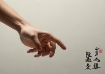 指的成语