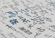 青岛科技大学2017艺术录取线多少？艺考分数线查询