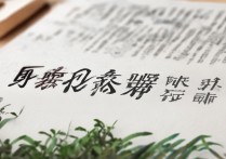 苏州大学录取新生信息怎么查，录取通知书什么时候发