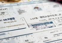 如何查询大连民族大学录取条件？大学录取必备指南