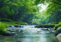 禁用 驱动