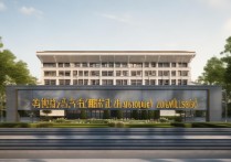 正武昌职业学院的办学特色和未来发展方向是什么？