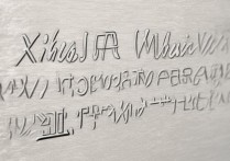 西华大学音乐录取线是多少，多少分能考上？