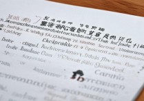 山东高考文科200分，能有哪些本科院校或专业选择？揭秘升学路径