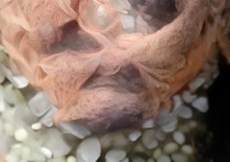 乌鲁木齐铁道职业学院怎么样，2026年招生简章