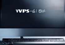 wps64位