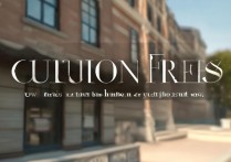 新兴职业学院收费标准合理吗？揭秘学费构成及隐性费用真相