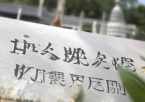 开封大学单招拟录取名单公示，考生疑问，录取标准是什么？