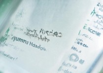 湖南专科学校最新排名是多少，湖南公办专科学校有哪些？