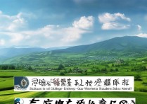 四川高考落榜怎么办，落榜生还能上什么大学