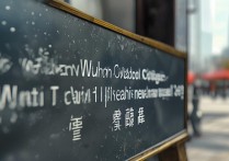 武昌职业学院更名了吗？改成什么名字了？