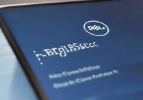 dell 还原系统