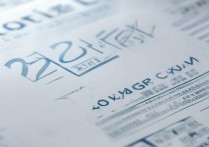 2017年长岭中考分数线