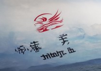 秦皇岛职业学院代号揭秘，这所院校的神秘编号背后有何含义？