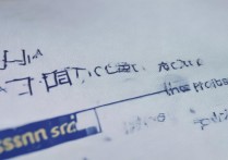 岭南大学录取查询入口在哪？岭南大学高考录取结果查询系统