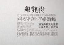 河北公办专科学校排名前十有哪些？河北最好的公办专科学校是哪所？