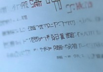 河南民生大学录取查询入口，录取结果怎么查？