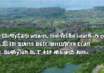 广西历史类 478 分能考哪些大学？2026 年广西历史 478 分稳上哪些大学