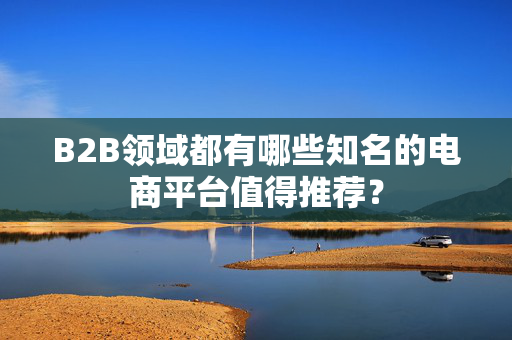 B2B领域都有哪些知名的电商平台值得推荐？