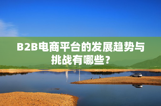 B2B电商平台的发展趋势与挑战有哪些？