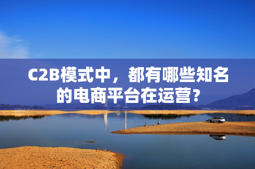 C2B模式中，都有哪些知名的电商平台在运营？