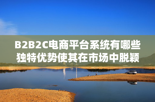 B2B2C电商平台系统有哪些独特优势使其在市场中脱颖而出？