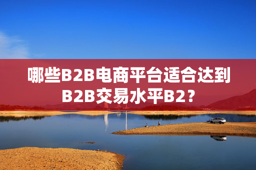 哪些B2B电商平台适合达到B2B交易水平B2？