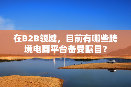 在B2B领域，目前有哪些跨境电商平台备受瞩目？