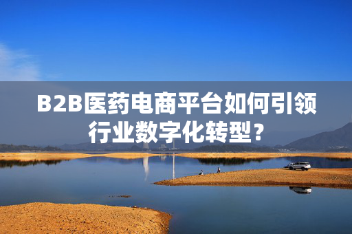 B2B医药电商平台如何引领行业数字化转型？