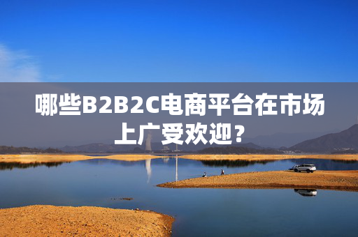 哪些B2B2C电商平台在市场上广受欢迎？