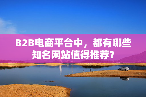 B2B电商平台中，都有哪些知名网站值得推荐？