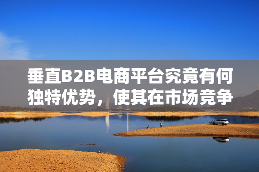 垂直B2B电商平台究竟有何独特优势，使其在市场竞争中脱颖而出？