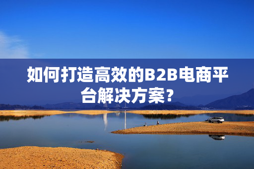 如何打造高效的B2B电商平台解决方案？