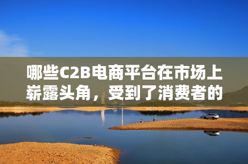 哪些C2B电商平台在市场上崭露头角，受到了消费者的青睐？