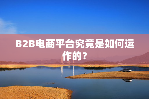 B2B电商平台究竟是如何运作的？