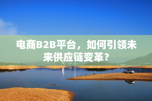 电商B2B平台，如何引领未来供应链变革？