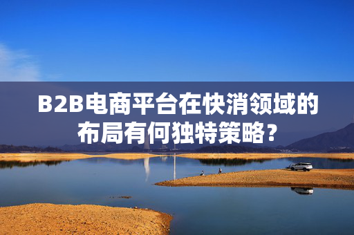 B2B电商平台在快消领域的布局有何独特策略？