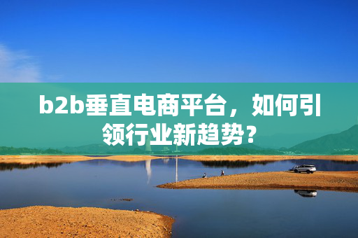 b2b垂直电商平台，如何引领行业新趋势？