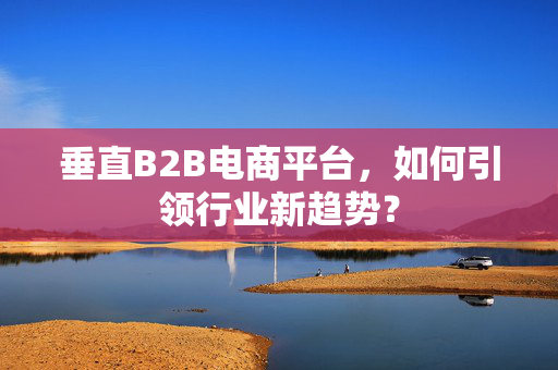 垂直B2B电商平台，如何引领行业新趋势？