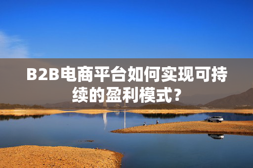 B2B电商平台如何实现可持续的盈利模式？