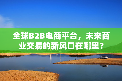 全球B2B电商平台，未来商业交易的新风口在哪里？